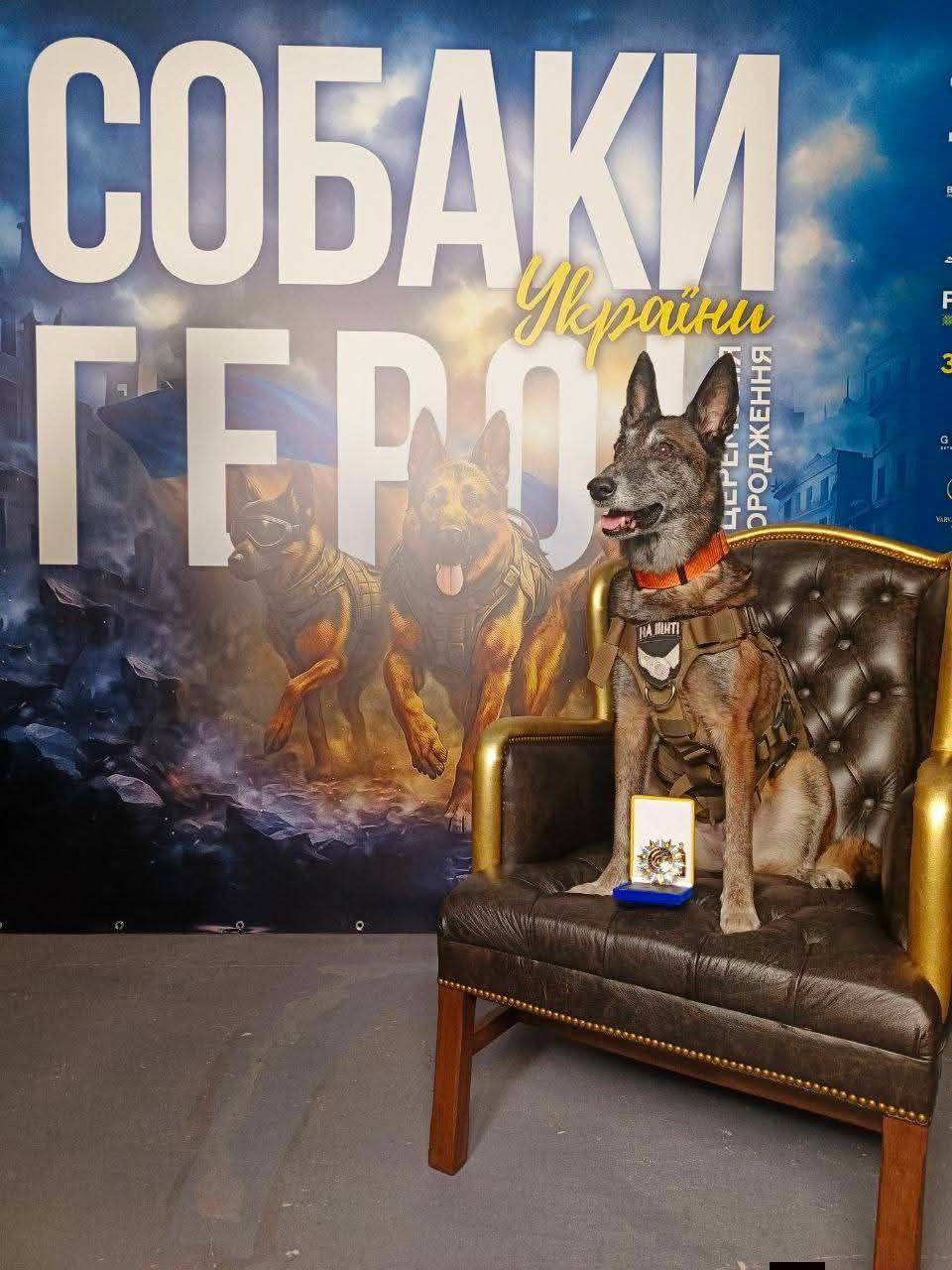 собака-спасительница