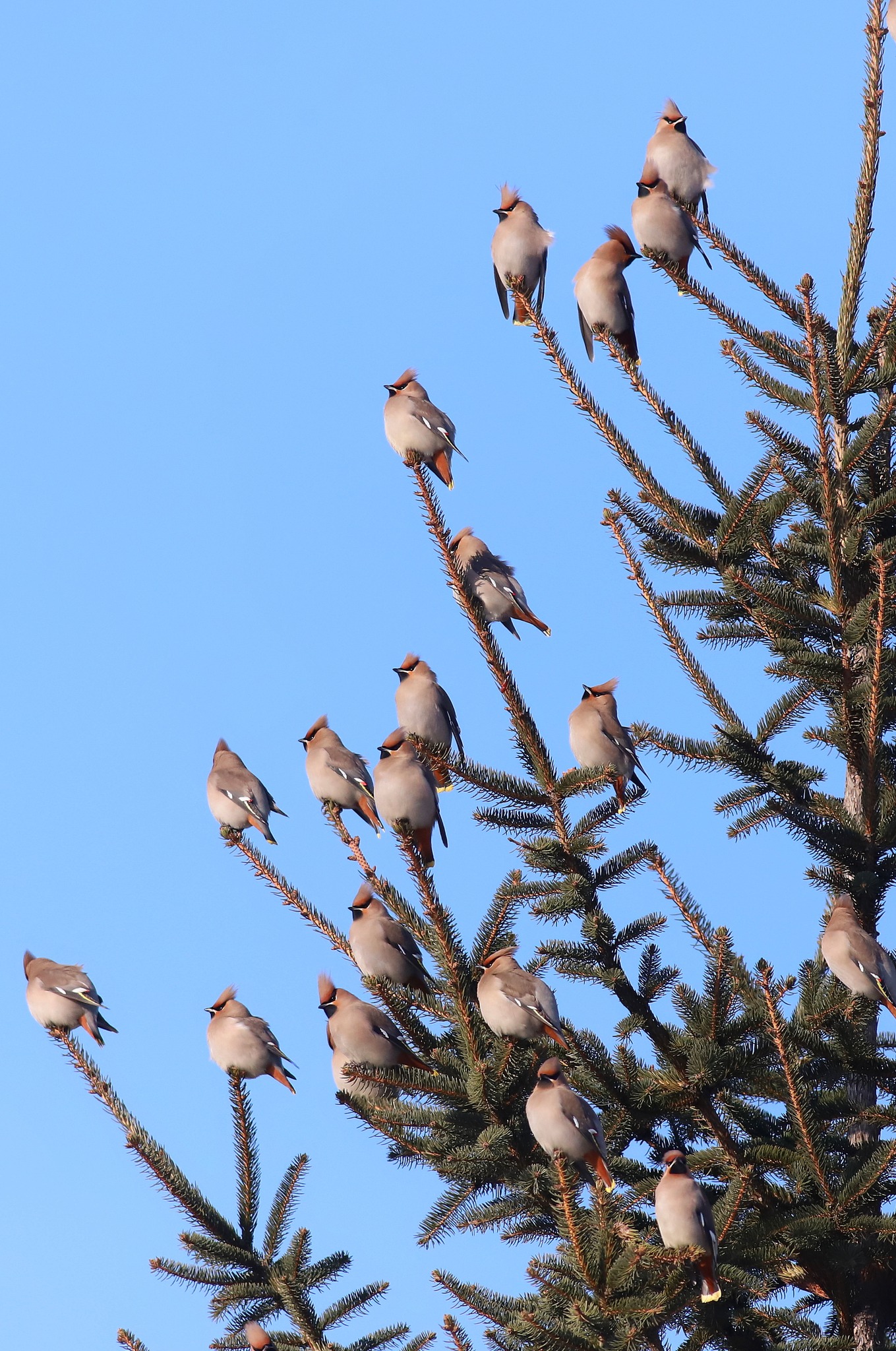 Фото: Виктор Севидов