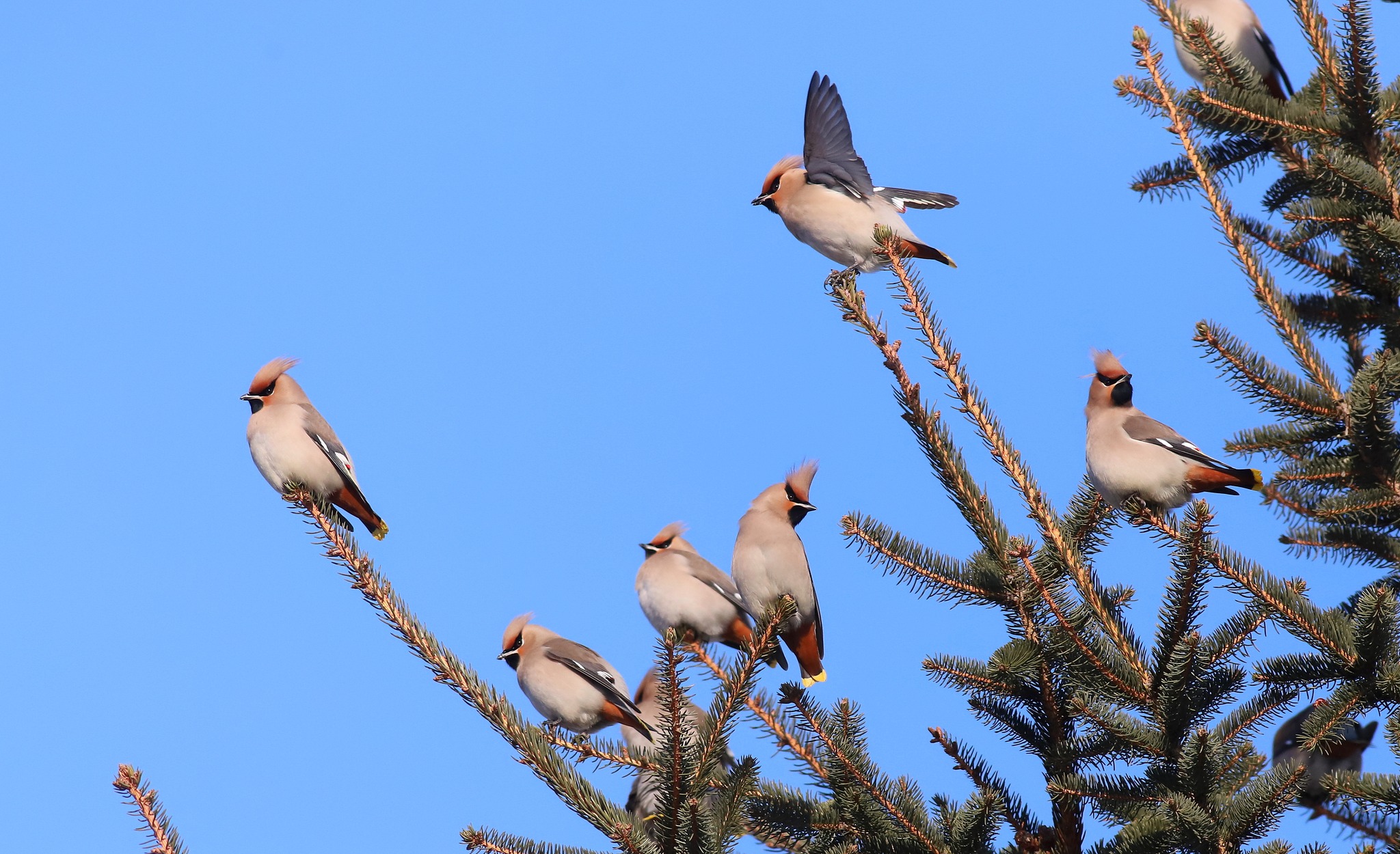 Фото: Виктор Севидов