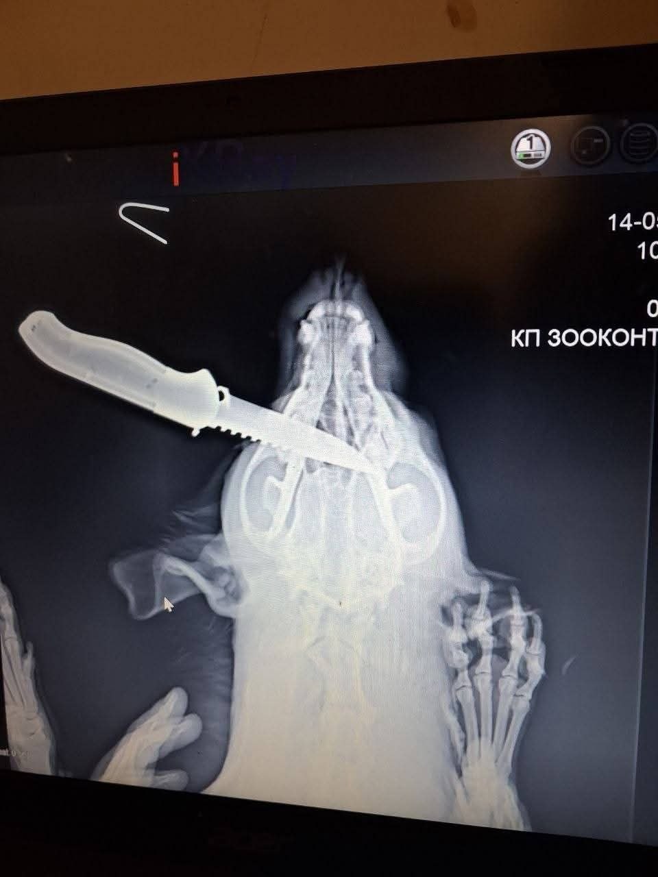 оо