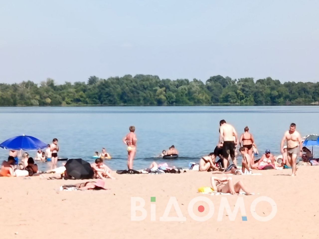 л