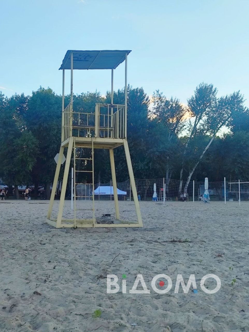 т