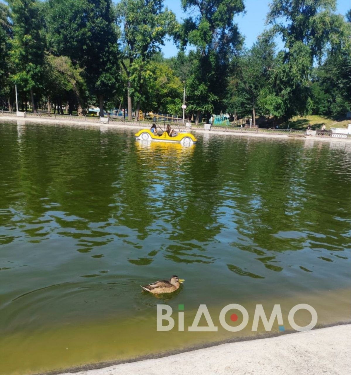 с