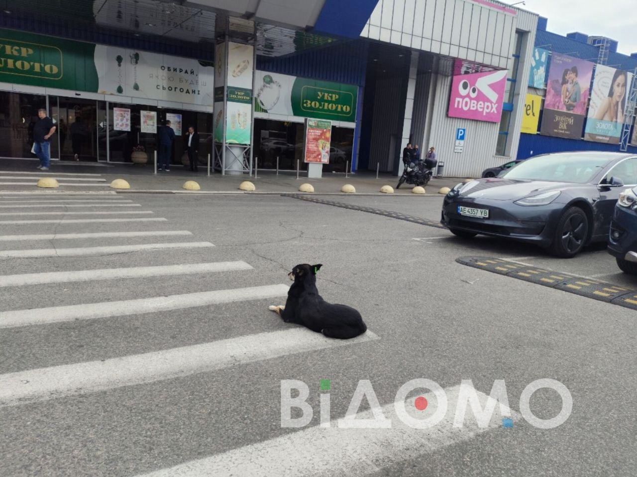 с