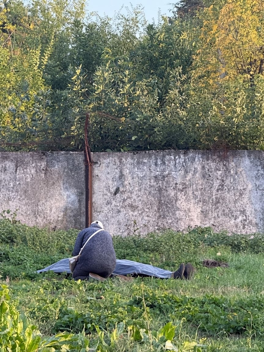 м