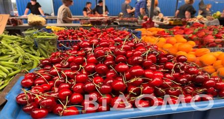 Частина врожаю замерзла:  торгівці пояснили, чому на Дніпропетровщині шалені ціни на черешню і полуницю (ФОТО, ВІДЕО)