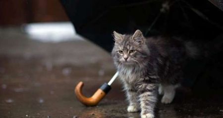 Прогнозируется дождь: погода в Днепре и области 3 апреля