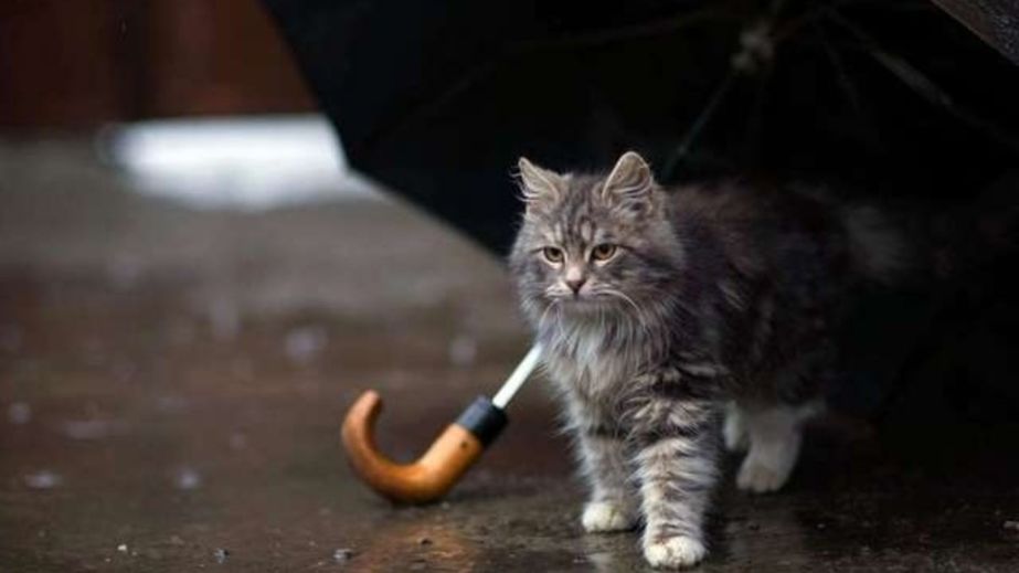 Прогнозується дощ: якою буде погода у Дніпрі та області 3 квітня