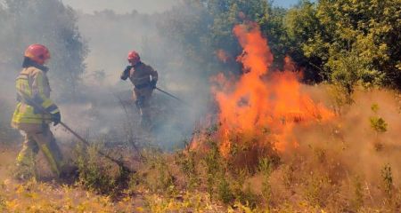 Сильна пожежа у Криворізькому районі: горить суха трава, площа займання велика (ВІДЕО)