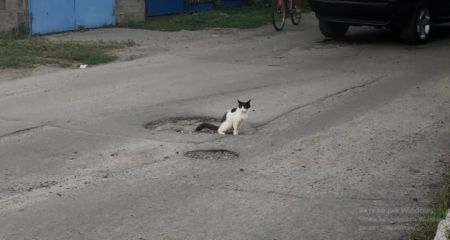 В Никополе из бюджета города на ремонт дорог потратят 18 млн грн