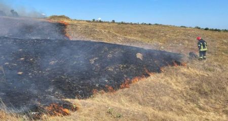 44 гектари природних екосистем стали жертвою пожеж на Дніпропетровщині