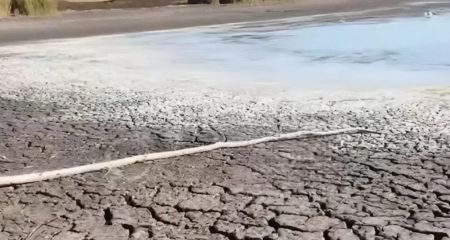 На Днепропетровщине высох очередной пруд