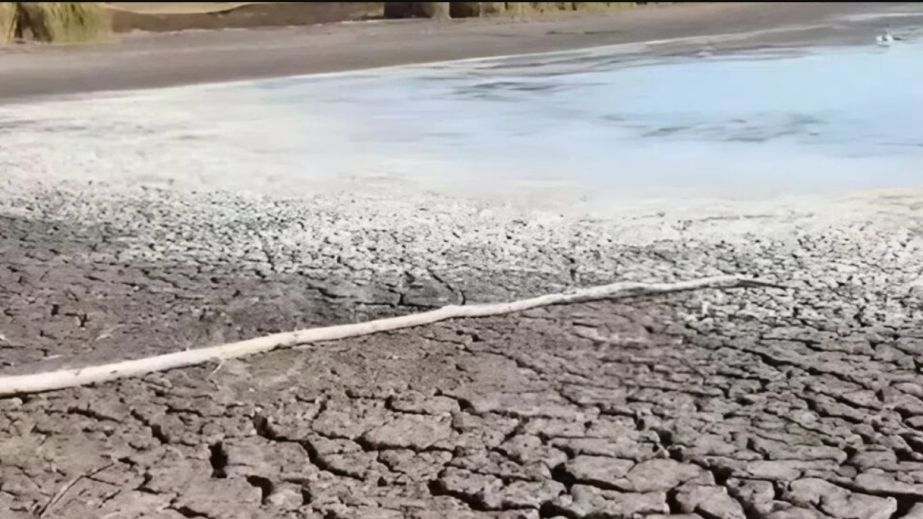 На Днепропетровщине высох очередной пруд