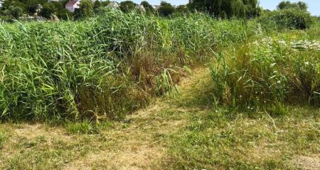 Суд рассмотрит дело ...