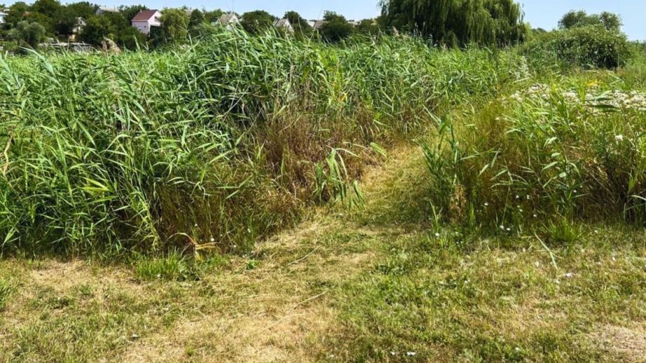 Суд розгляне справу про законність оренди 1,4 га прибережної землі у Дніпровському районі (ФОТО)