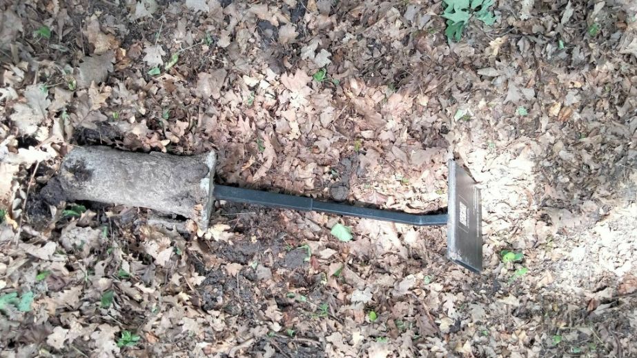 У Ботанічному саду Дніпра підлітки влаштували погром (ФОТО)