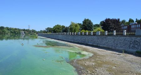 По цвету как "Тархун": в городе Днепр вода на набережной превратилась в зеленую жижу (ФОТО)