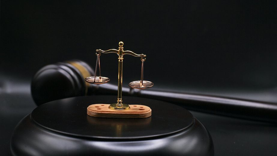 Дело об убийстве Фарион: подозреваемому избрали меру пресечения