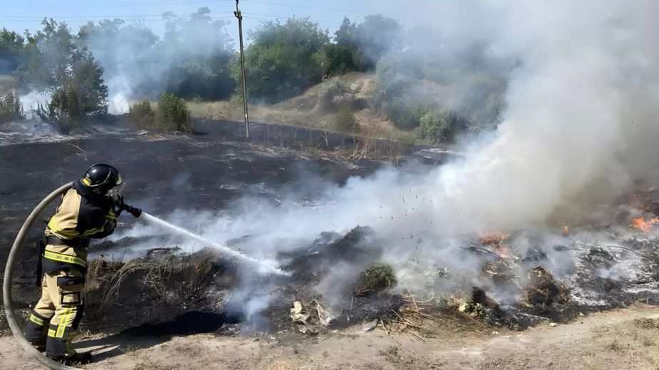 На Дніпропетровщині за добу вигоріло понад 92 га екосистем