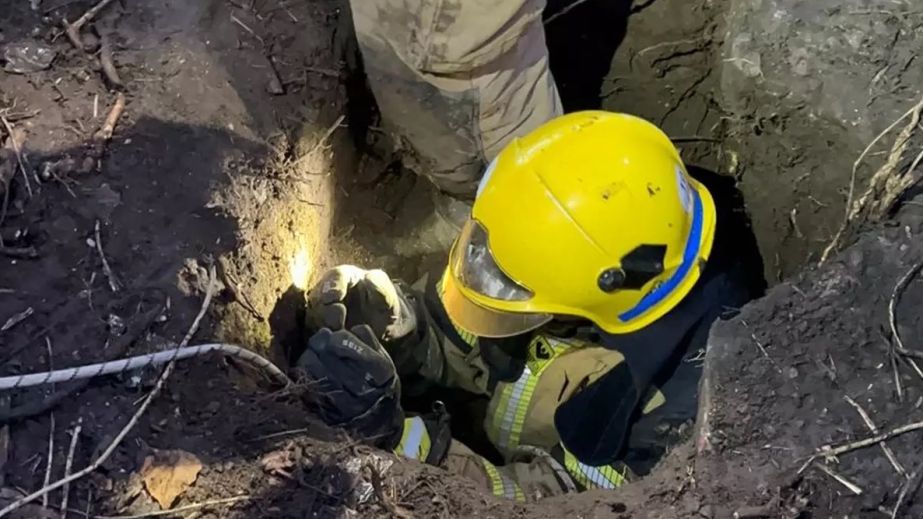 У Кривому розі надзвичайники діставали цуценят з двометрової ями (ФОТО)