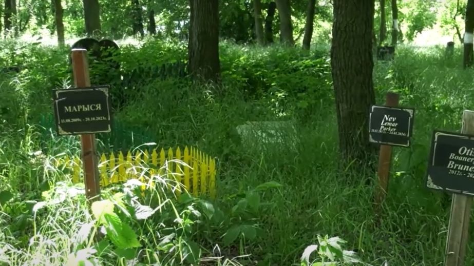 В Днепре разрастается стихийное кладбище посреди сквера (ФОТО, ВИДЕО)