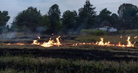 У Кривому Розі масово горіли дачі та 2 гектара землі (ФОТО)