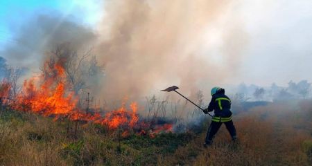 На Дніпропетровщині горять поля дорогою на Орловщину (ФОТО)