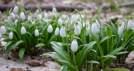 Тепло и без осадков:...