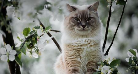 Місцями невеликий дощ: якою буде погода у Дніпрі та області 6 квітня