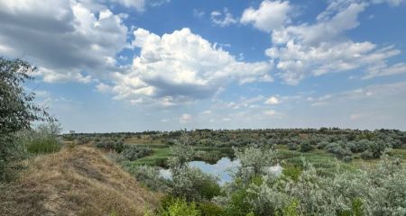 На Дніпропетровщині державі повернули землі промислового призначення вартістю 113 млн грн (ФОТО)