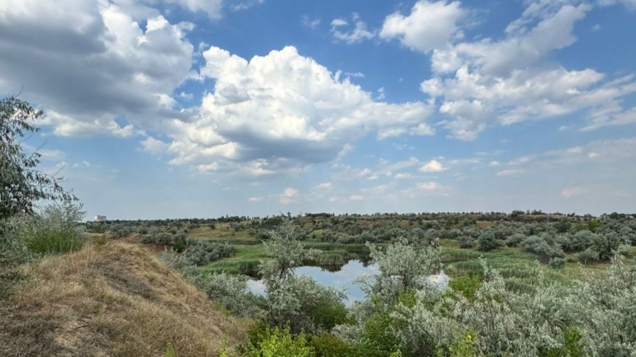В Днепропетровской области государству вернули земли промышленного назначения стоимостью 113 млн грн (ФОТО)
