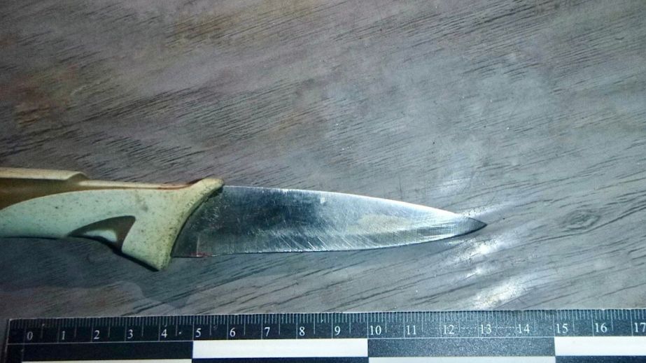 У Кривому Розі дідусь кілька разів штрикнув ножем онуку