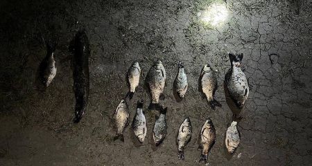 На Криворіжжі 18-річний браконьєр наловив риби на 26 тисяч гривень