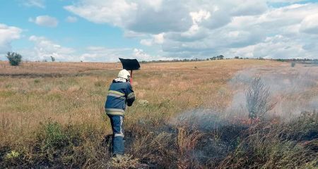 За сутки пожарные ликвидировали более 70 пожаров в экосистемах Днепропетровщины