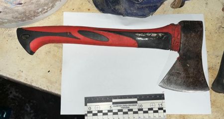 Зарубила топором и с...