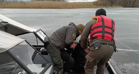 Неподалік Обухівки р...