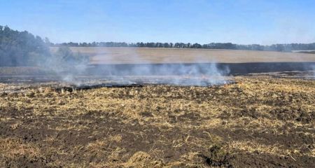 Сжег стерни на почти...