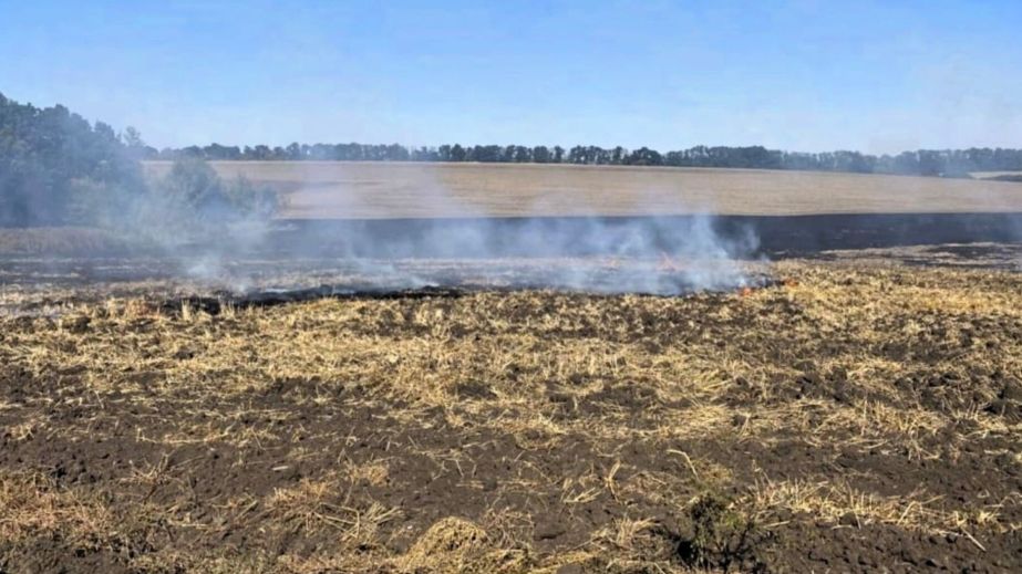 Сжег стерни на почти 2 млн гривен убытков: на Днепропетровщине будут судить 72-летнего фермера (ФОТО)