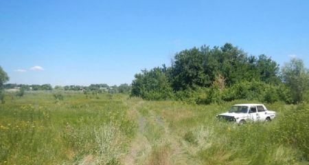 Викотив із подвір&rsquo;я та покинув у лісосмузі: на Дніпропетровщині рецидивіст викрав ВАЗ