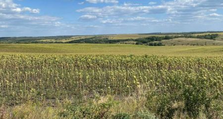 На Днепропетровщине общинам вернули более 700 га земель (ФОТО)