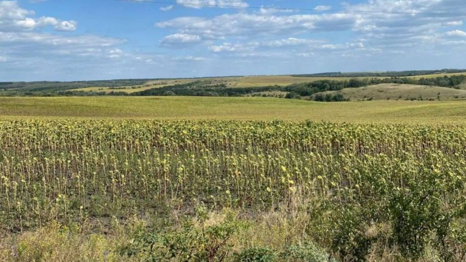На Дніпропетровщині громадам повернули понад 700 га земель (ФОТО)