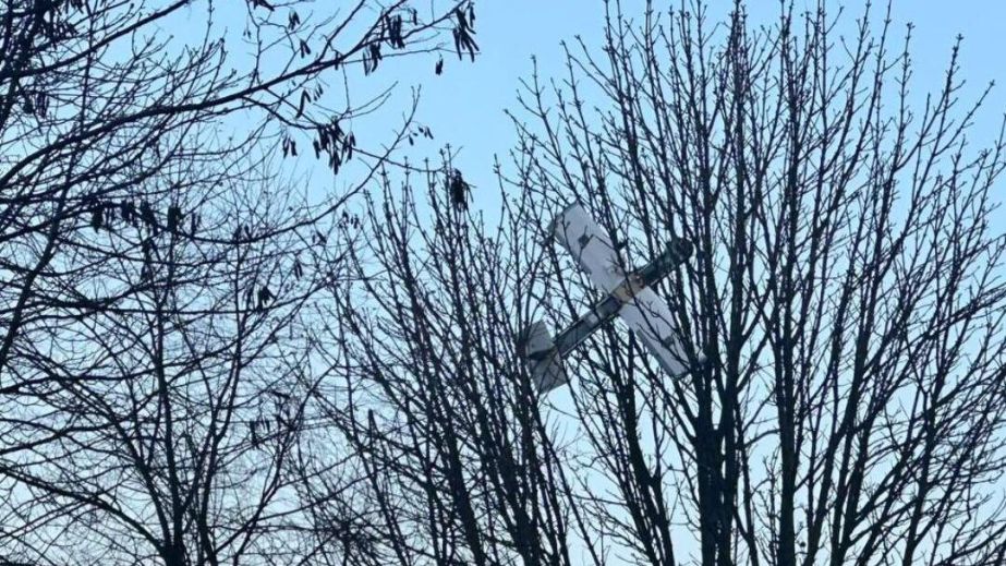 У Шахтарському російський безпілотник врізався в дерево (ФОТО)