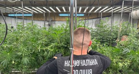 Вложил в "бизнес" 8 ...