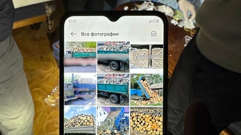 Ув'язнений з Кривого Рогу продав неіснуючих дров на 53 тисячі гривень (ФОТО)