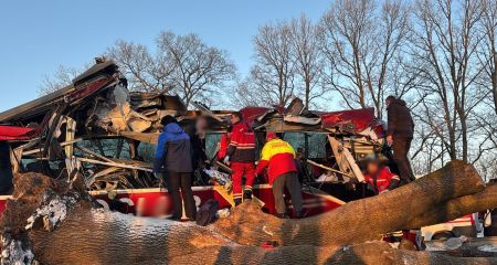 На Львівщині злетів ...