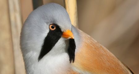 На Дніпропетровщині ...