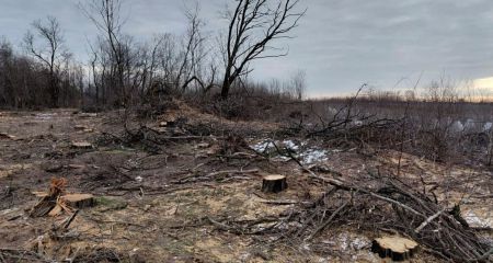 На Дніпропетровщині ...
