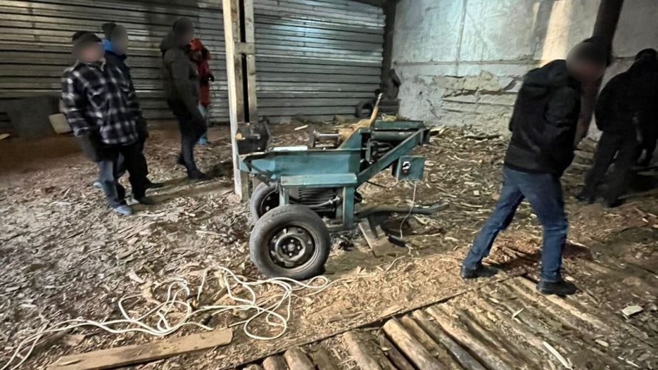 Вирубували ліс у промислових масштабах: на Дніпропетровщині викрили злочинну банду (ФОТО, ВІДЕО)