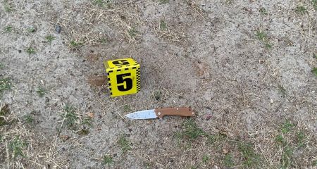Різанина на турбазі на Самарівщині: перед судом постане чоловік, який встромив ножа у відпочивальника (ФОТО)