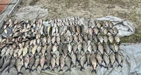У Дніпрі браконьєр виловив 160 кг риби під час нерестової заборони (ФОТО)